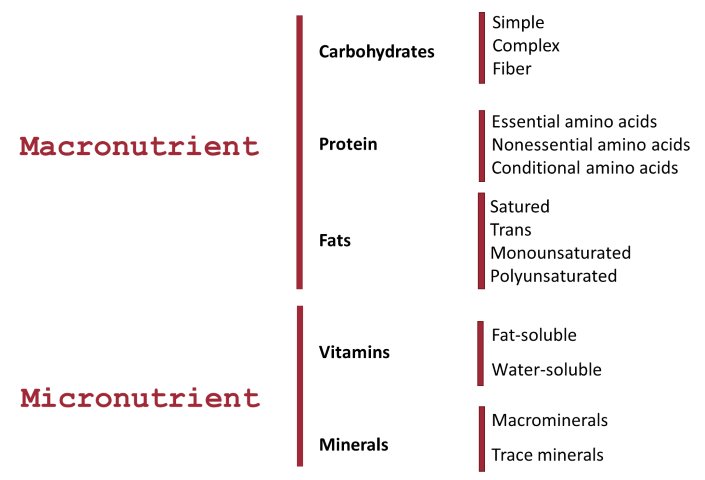 Diet Nutrients